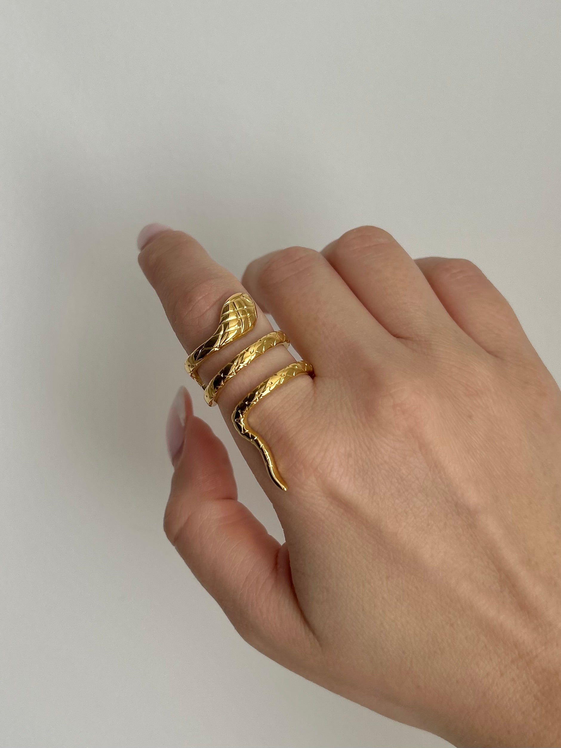 Anello Snake