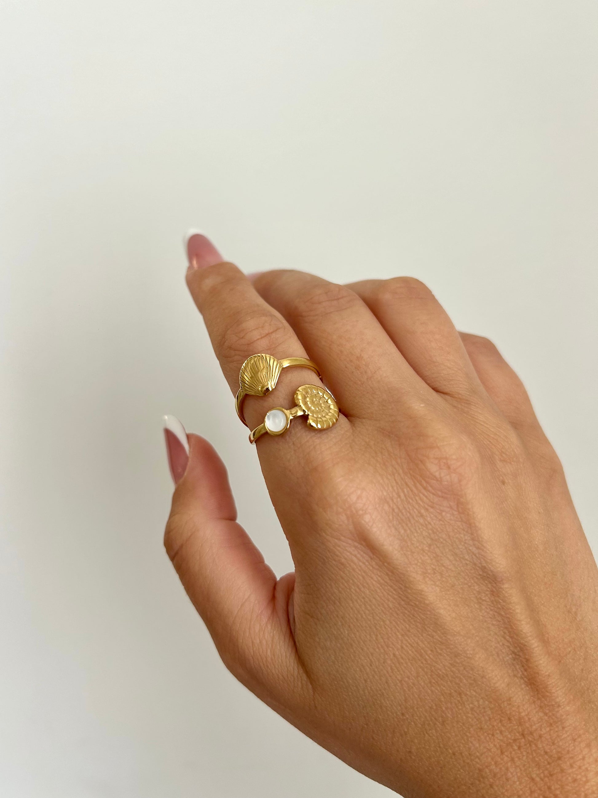 Anello Shell
